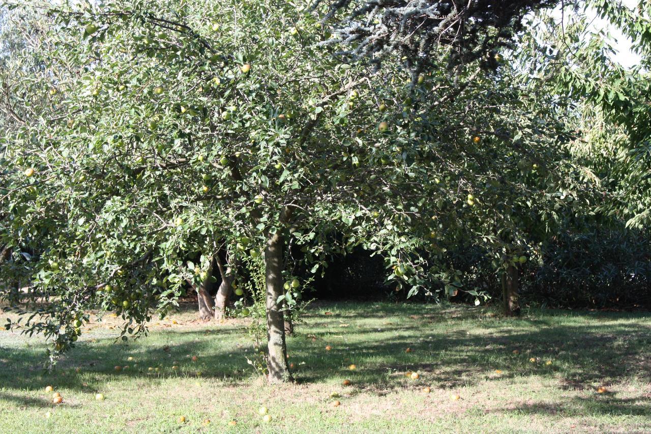 La Villa Blanc (Adults Only) Conques-sur-Orbiel Dış mekan fotoğraf